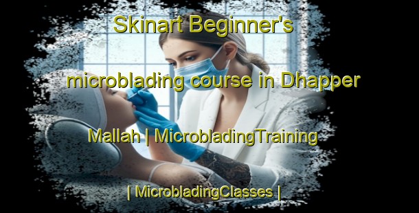 Skinart Beginner's microblading course in Dhapper Mallah | MicrobladingTraining | MicrobladingClasses | SkinartTraining-Pakistan